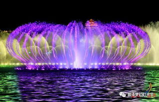 搶票攻略,美爆了 寧陽首屆大型夢幻燈光暨音樂噴泉節空降來襲 6月16日在圣地農莊與你共度狂歡清涼一夏 門票免費送 送 送